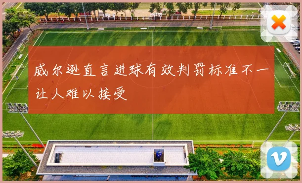 威尔逊直言进球有效判罚标准不一让人难以接受