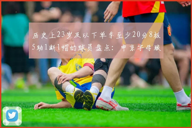 历史上23岁及以下单季至少20分8板5助1断1帽的球员盘点：申京字母狼王等人