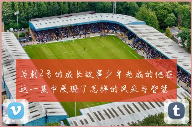 马刺2号的成长故事少年老成的他在这一集中展现了怎样的风采与智慧